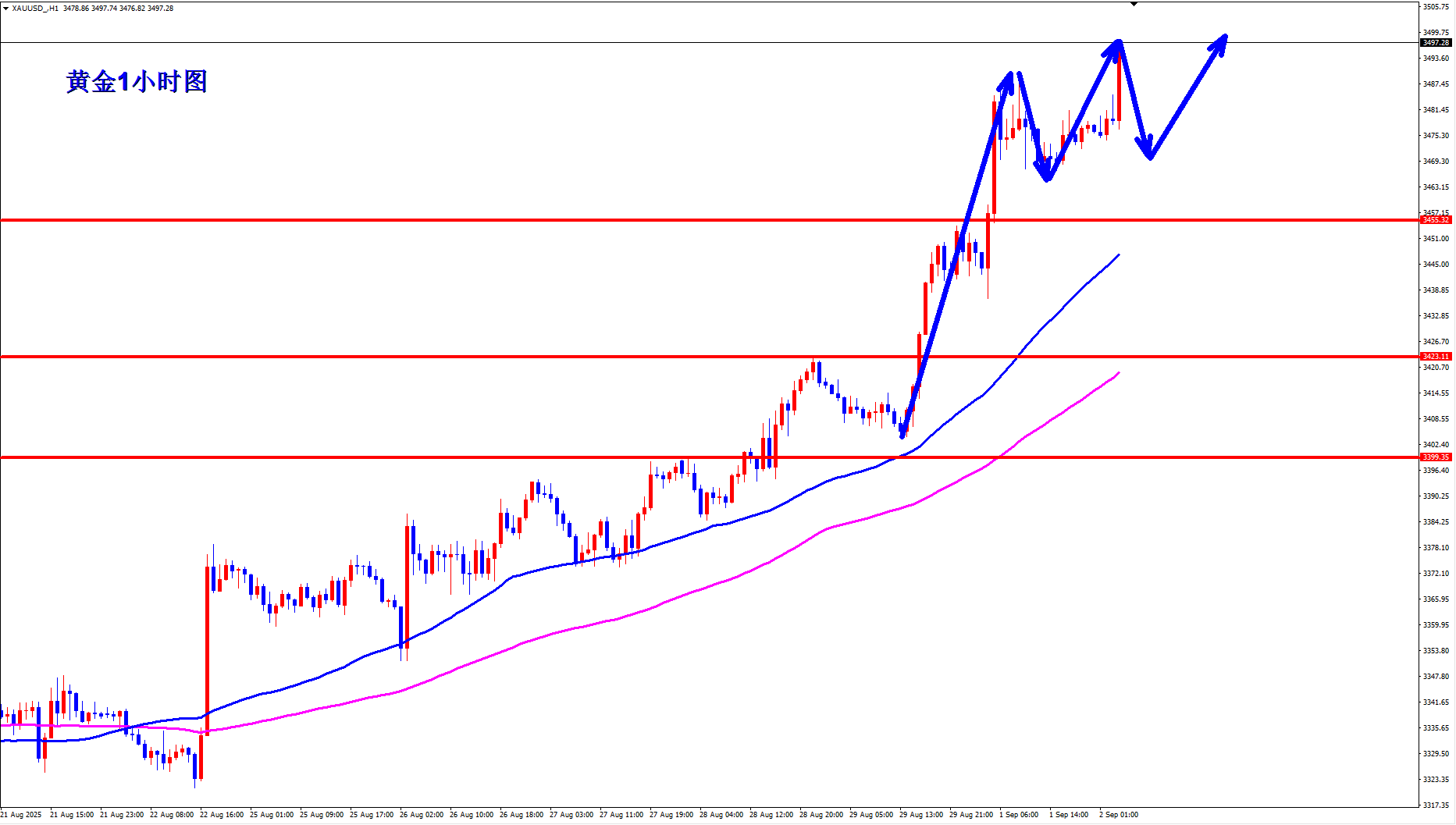 王杨：黄金做多本周开门红，黄金做多七连胜！