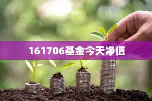 161706基金今天净值