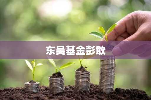 东吴基金彭敢