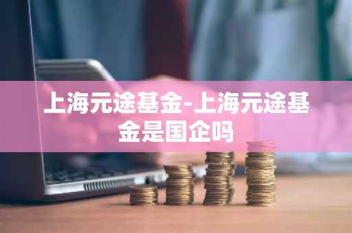 上海元途基金-上海元途基金是国企吗