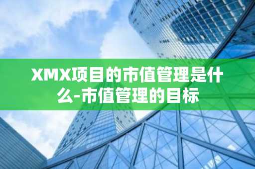 XMX项目的市值管理是什么-市值管理的目标