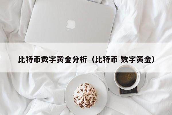 比特币数字黄金分析（比特币 数字黄金）