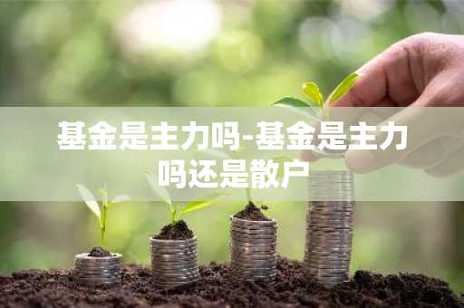 基金是主力吗-基金是主力吗还是散户