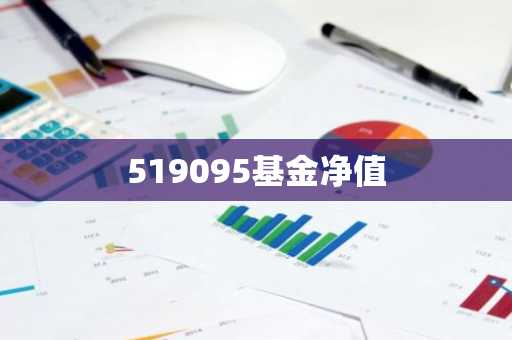 519095基金净值