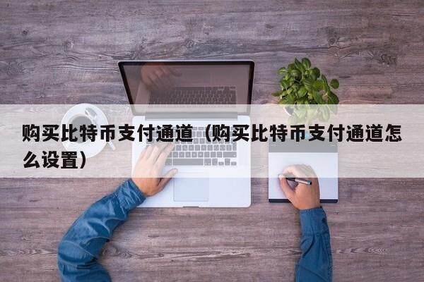 购买比特币支付通道（购买比特币支付通道怎么设置）