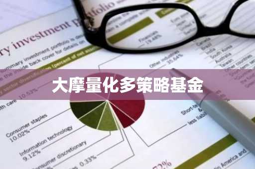 大摩量化多策略基金