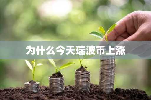 为什么今天瑞波币上涨