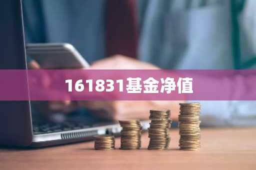 161831基金净值