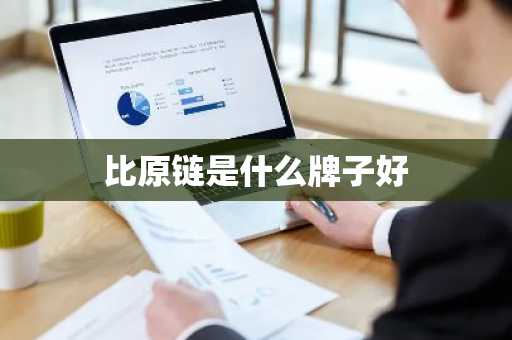 比原链是什么牌子好