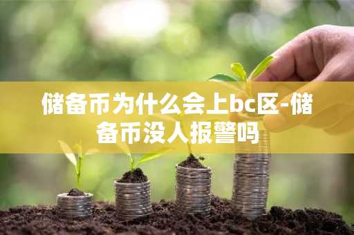 储备币为什么会上bc区-储备币没人报警吗
