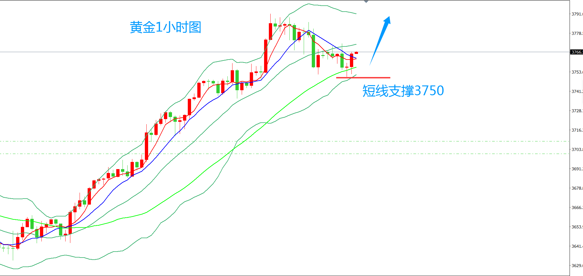 齐仲龙：黄金，还是低多