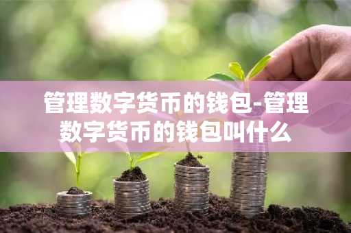 管理数字货币的钱包-管理数字货币的钱包叫什么