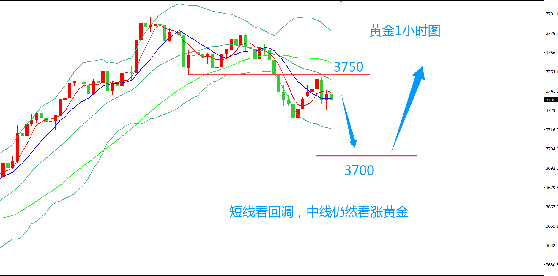 齐仲龙：黄金，展开调整