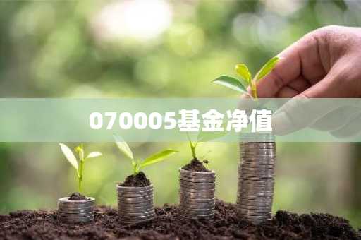 070005基金净值