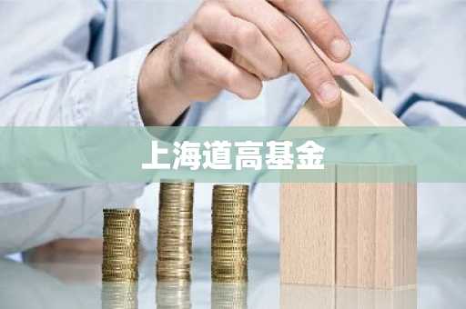 上海道高基金