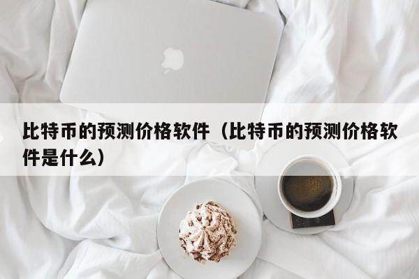 比特币的预测价格软件（比特币的预测价格软件是什么）