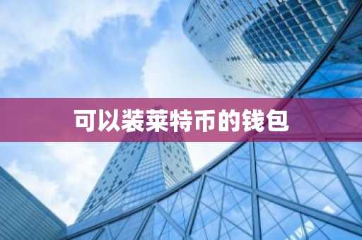 可以装莱特币的钱包