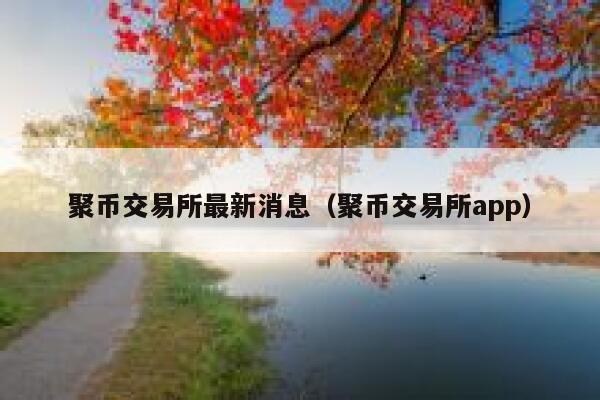 聚币交易平台最新消息（聚币交易平台app）