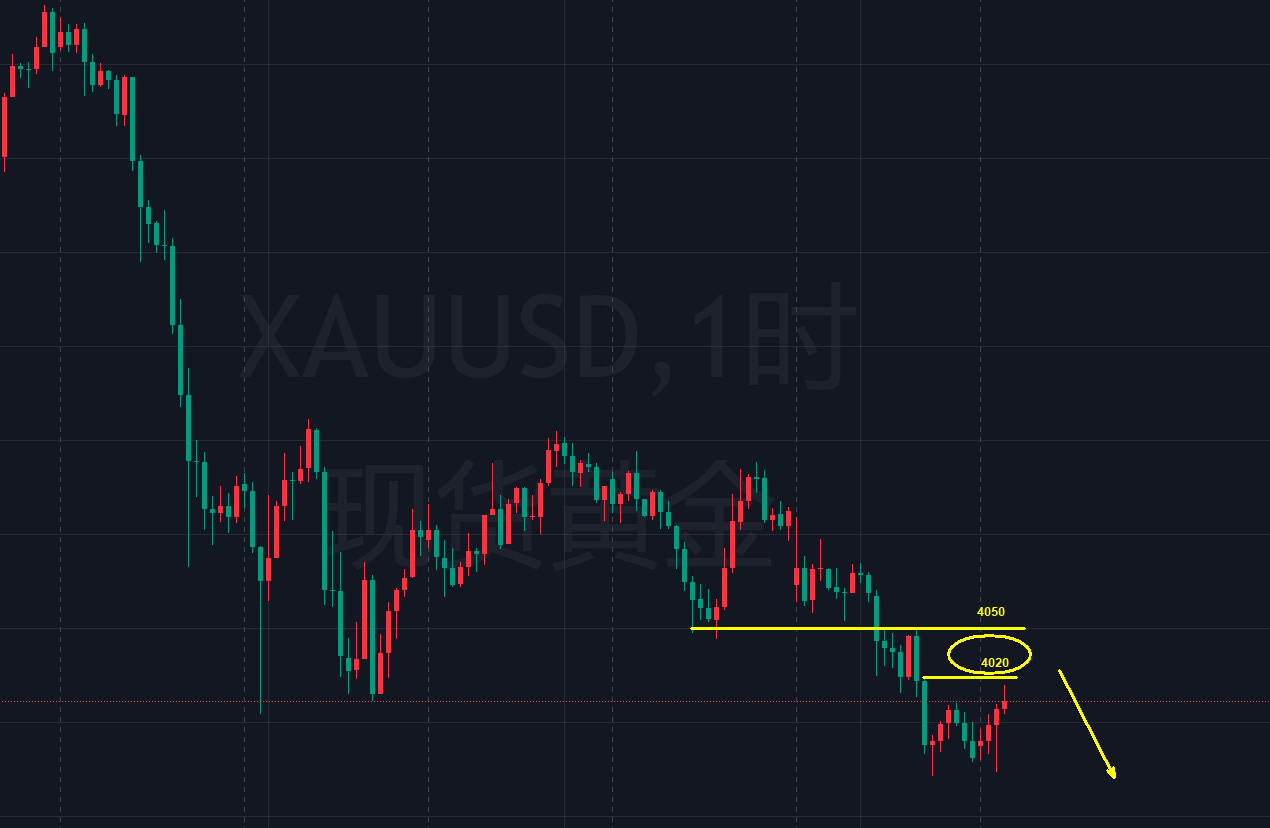 金都城 黄金：依旧高空