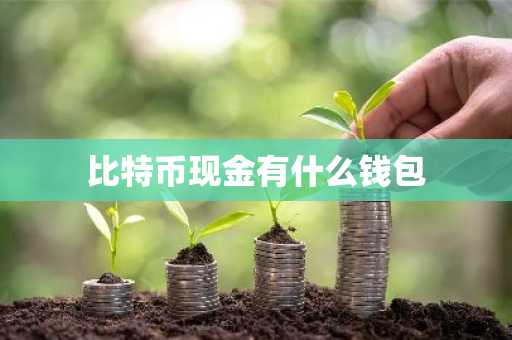 比特币现金有什么钱包