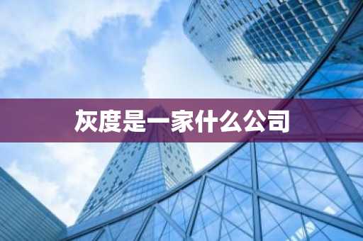 灰度是一家什么公司