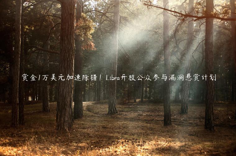 赏金1万美元加速除错！Libra开放公众参与漏洞悬赏计划