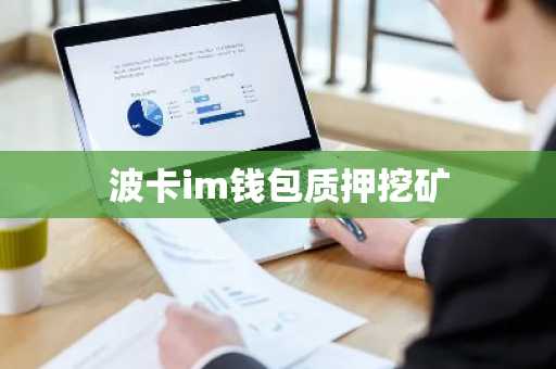 波卡im钱包质押挖矿