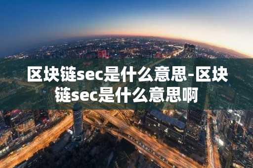 区块链sec是什么意思-区块链sec是什么意思啊