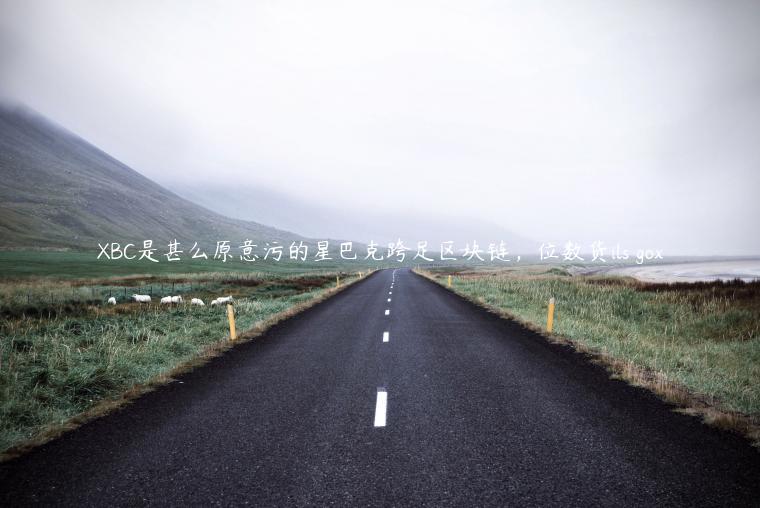 BC是甚么原意污的星巴克跨足区块链，位数货ils go