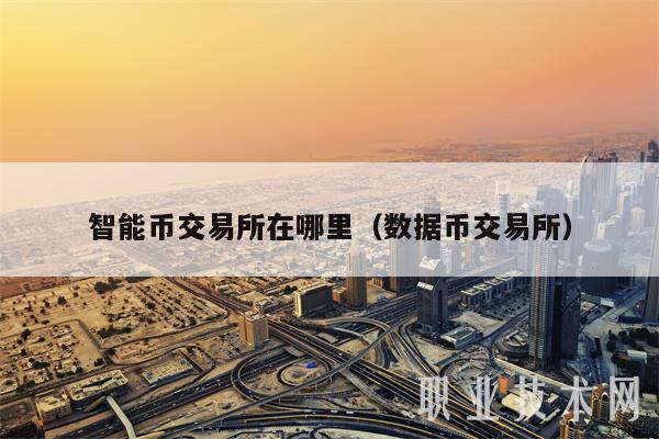智能币交易所在哪里（数据币交易所