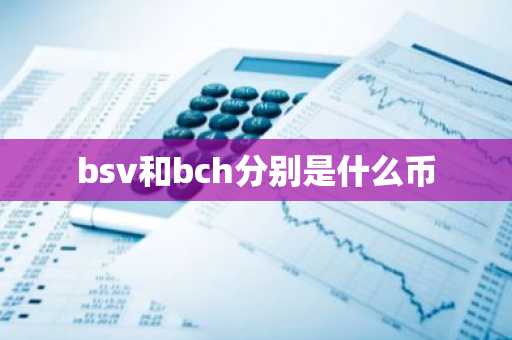 bsv和bch分别是什么币