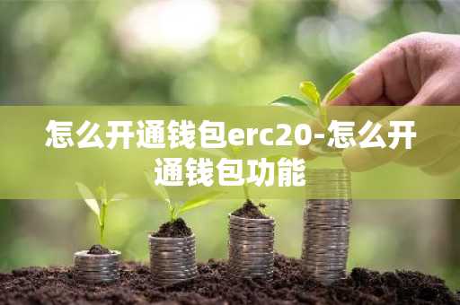 怎么开通钱包erc20-怎么开通钱包功能