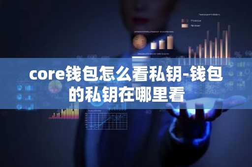 core钱包怎么看私钥-钱包的私钥在哪里看