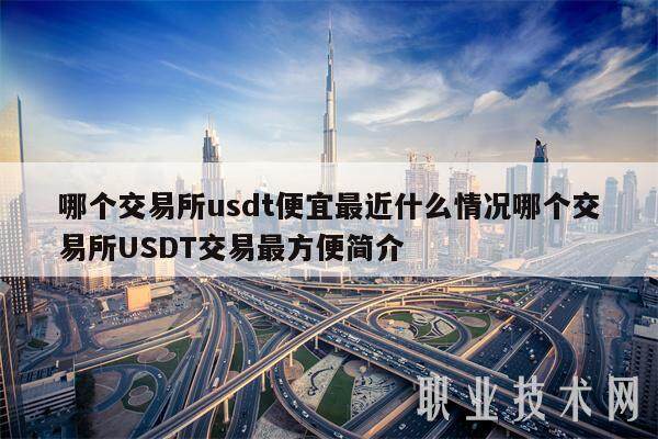 哪个交易平台usdt便宜最近什么情况哪个交易平台USDT交易最方便简介