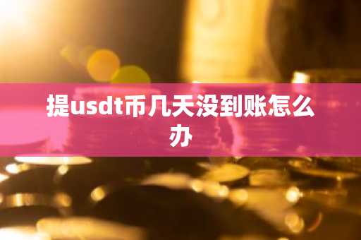提usdt币几天没到账怎么办
