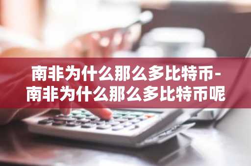 南非为什么那么多比特币-南非为什么那么多比特币呢