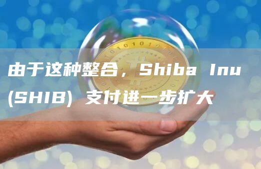 由于这种整合，Shiba Inu (SHIB) 支付进一步扩大