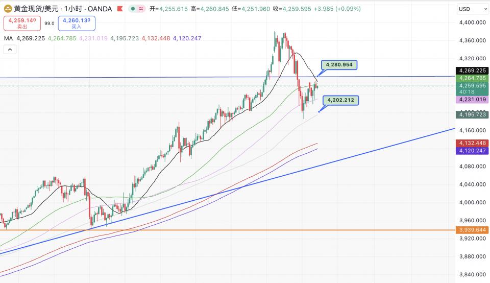 徐文婷：黄金涨势稍懈，回调将被认为是买入机会