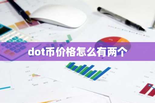 dot币价格怎么有两个