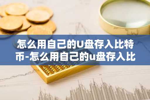 怎么用自己的U盘存入比特币-怎么用自己的u盘存入比特币里