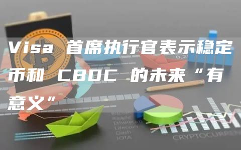 Visa 首席执行官表示稳定币和 CBDC 的未来“有意义”