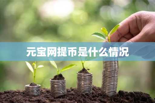 元宝网提币是什么情况