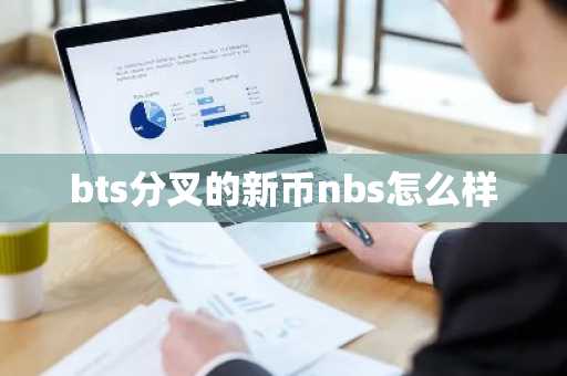 bts分叉的新币nbs怎么样