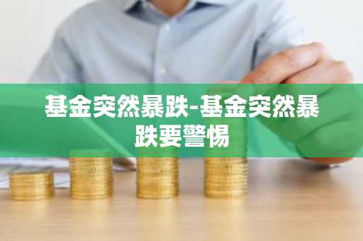基金突然暴跌-基金突然暴跌要警惕