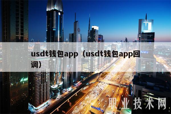 usdt钱包app（usdt钱包app回调）