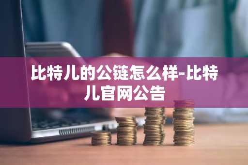 比特儿的公链怎么样-比特儿官网公告