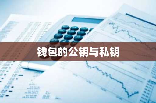 钱包的公钥与私钥