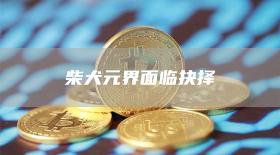 柴犬元界面临抉择