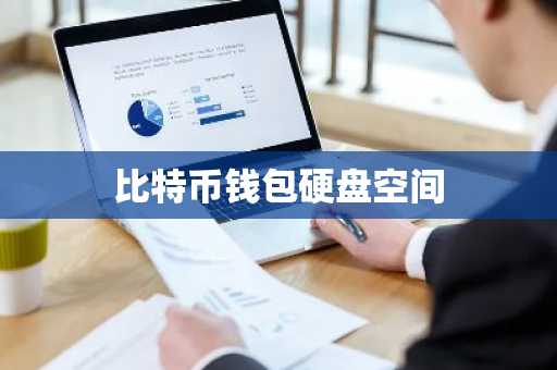 比特币钱包硬盘空间