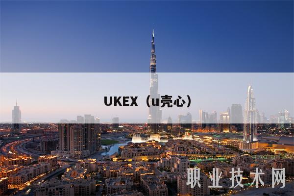 UK（u壳心）